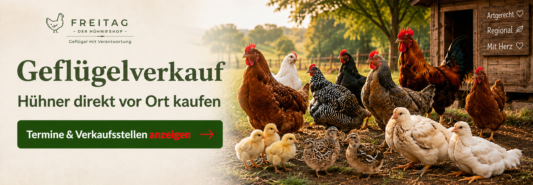 00 # Hühner direkt vor Ort kaufen